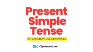 Present Simple Tense