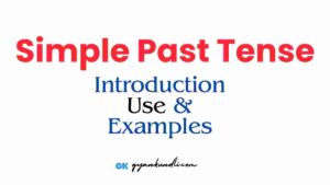 Simple Past Tense