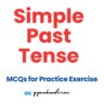 Simple Past Tense Exercise Worksheet with Answers