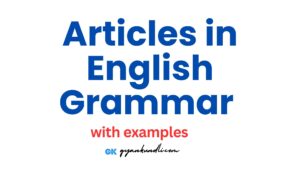 Articles in English Grammar