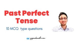 Past Perfect Tense Exercise 10 MCQs