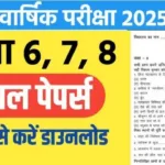 Half Yearly Exam Question Paper 2025-26 : Class 6 to 8 Sample Papers