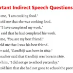 RBSE Class 10 Indirect Speech Questions Answers