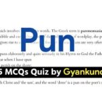 Pun MCQ Quiz : 15 Questions