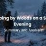 Stopping by Woods on a Snowy Evening: Summary and Analysis
