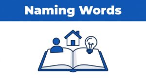 Nouns in English Grammar Explained Simply