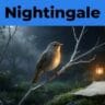ODE TO A NIGHTINGALE SUMMARY AND ANALYSIS