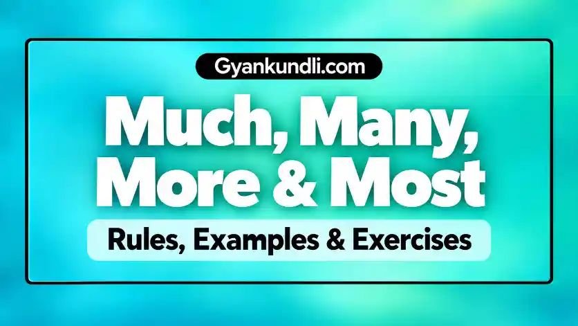 Much many more most